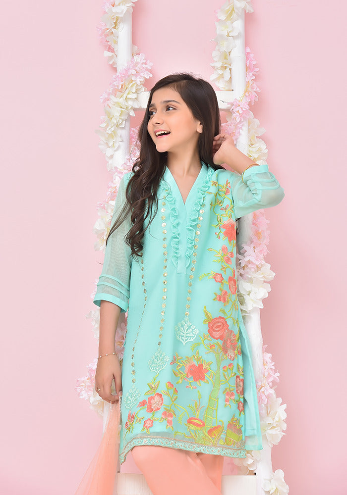 Chiffon Embroidered 3 Pc Suit - Wear Ochre