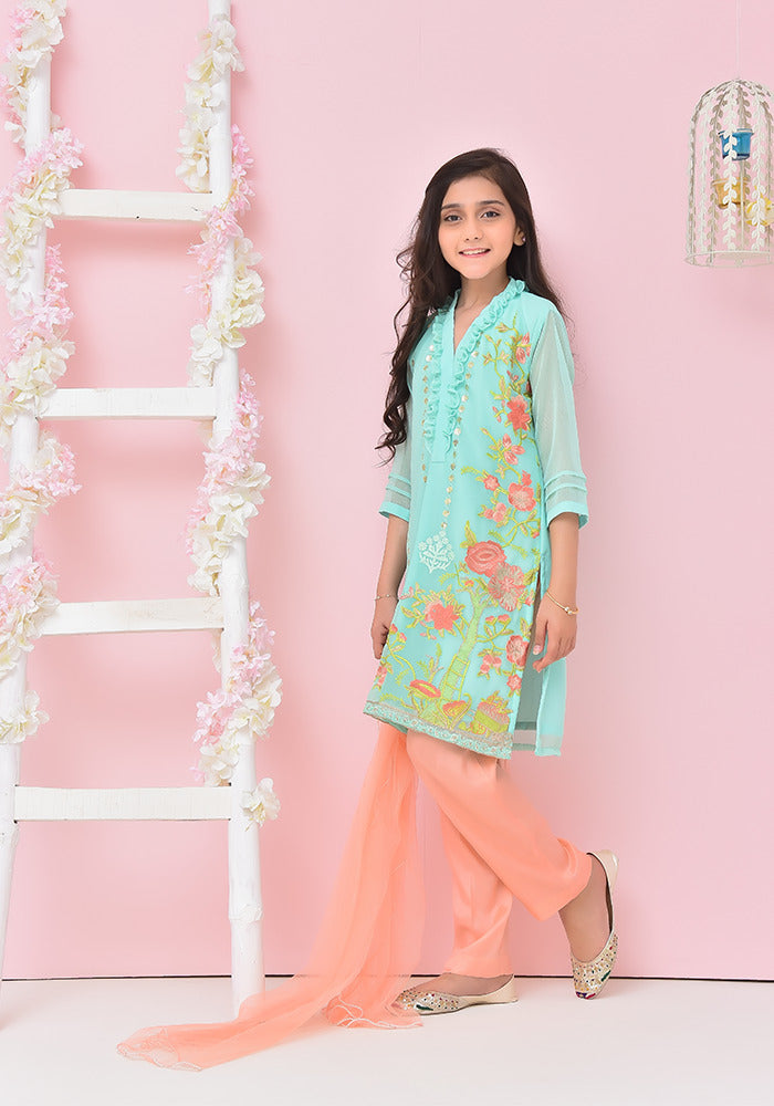 Chiffon Embroidered 3 Pc Suit - Wear Ochre