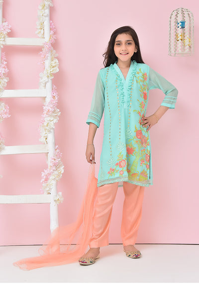 Chiffon Embroidered 3 Pc Suit