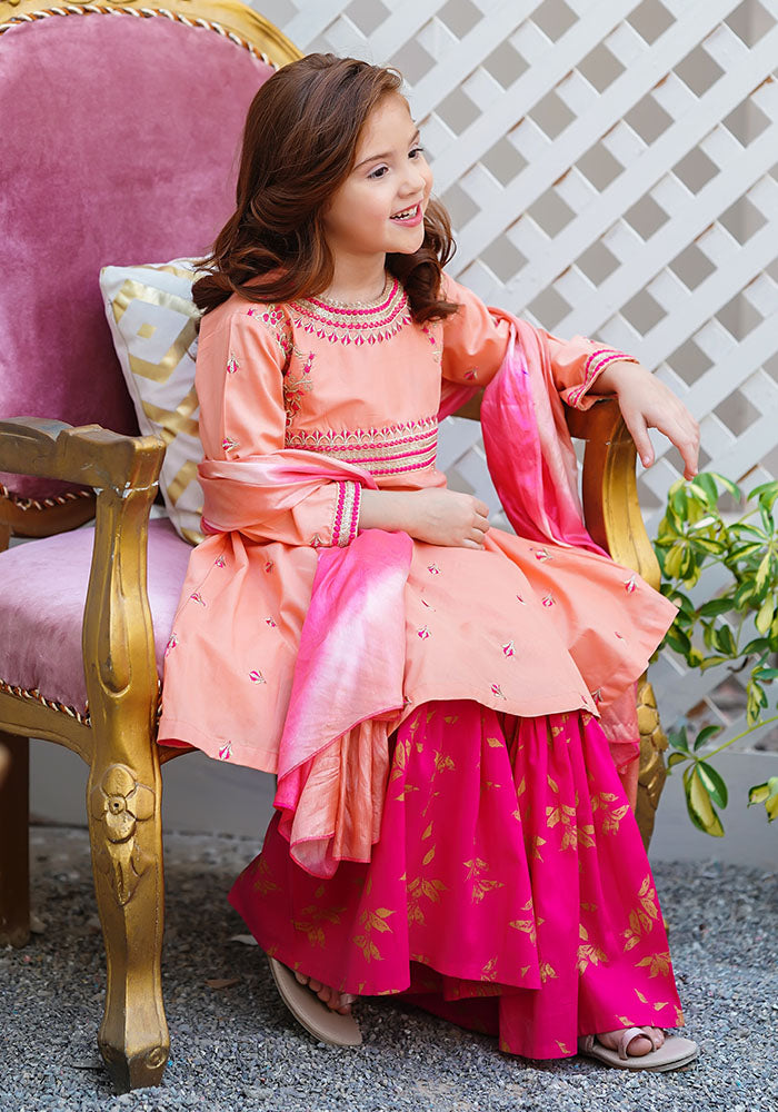 Cotton Embroidered 3 Pc Suit - Wear Ochre