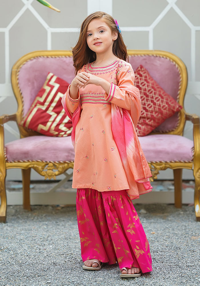 Cotton Embroidered 3 Pc Suit - Wear Ochre