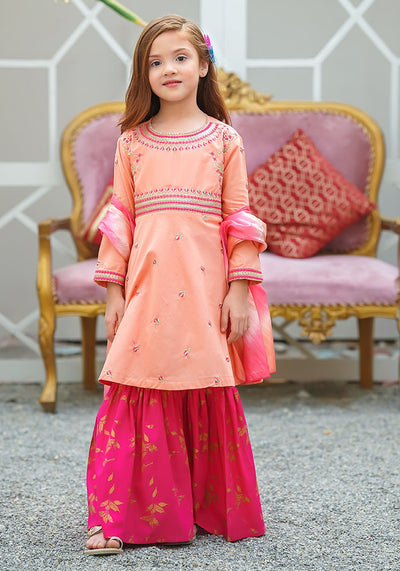Cotton Embroidered 3 Pc Suit