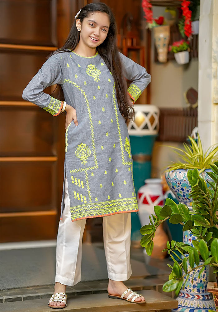 Chambray Embroidered Kurta - Wear Ochre