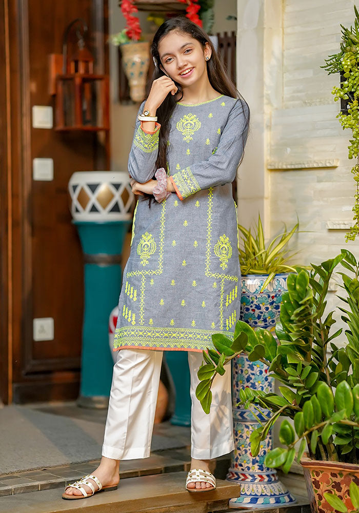 Chambray Embroidered Kurta - Wear Ochre