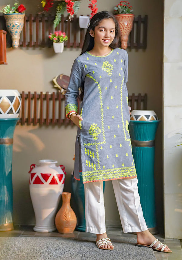 Chambray Embroidered Kurta - Wear Ochre