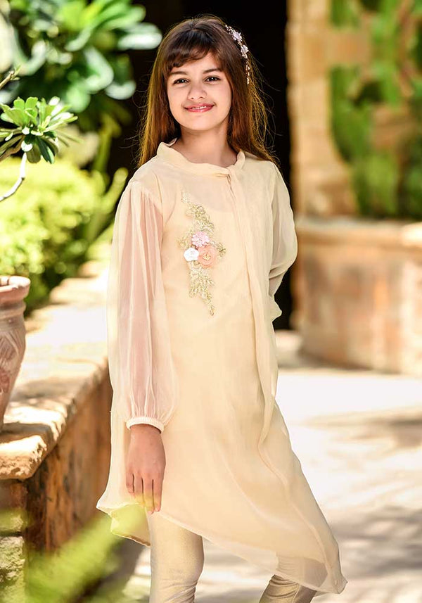 Chiffon Embroidered Top