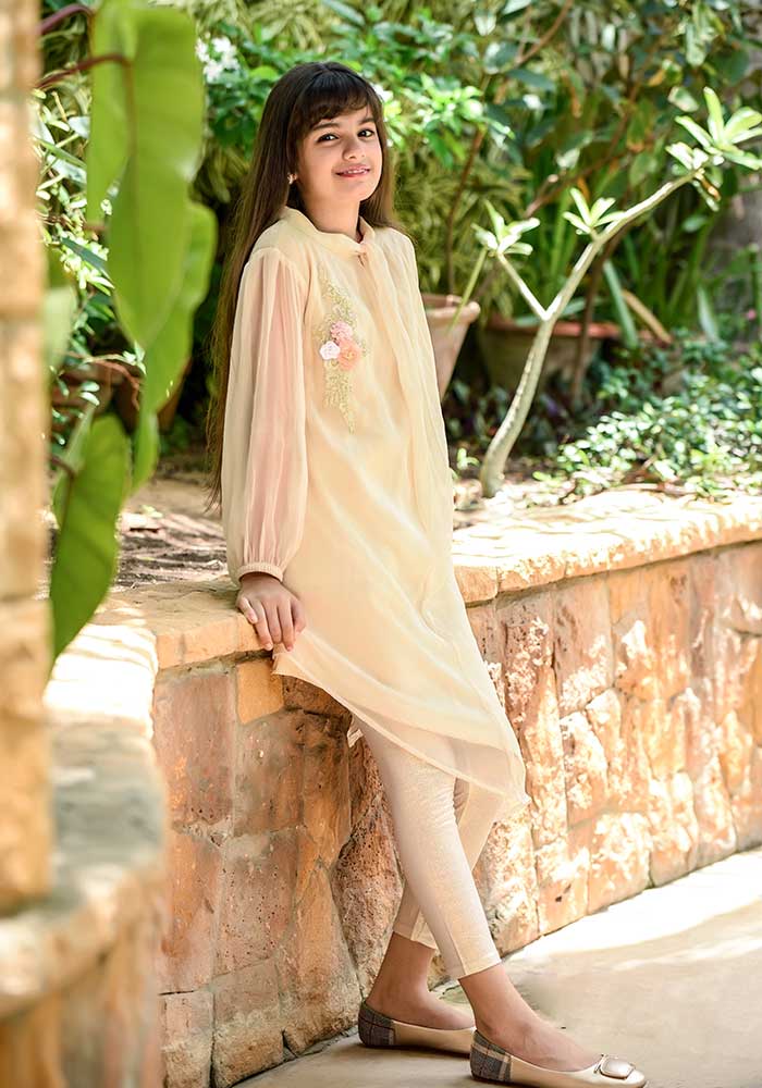 Chiffon Embroidered Top - Wear Ochre
