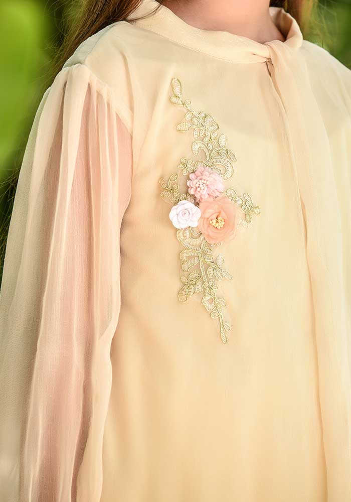 Chiffon Embroidered Top - Wear Ochre