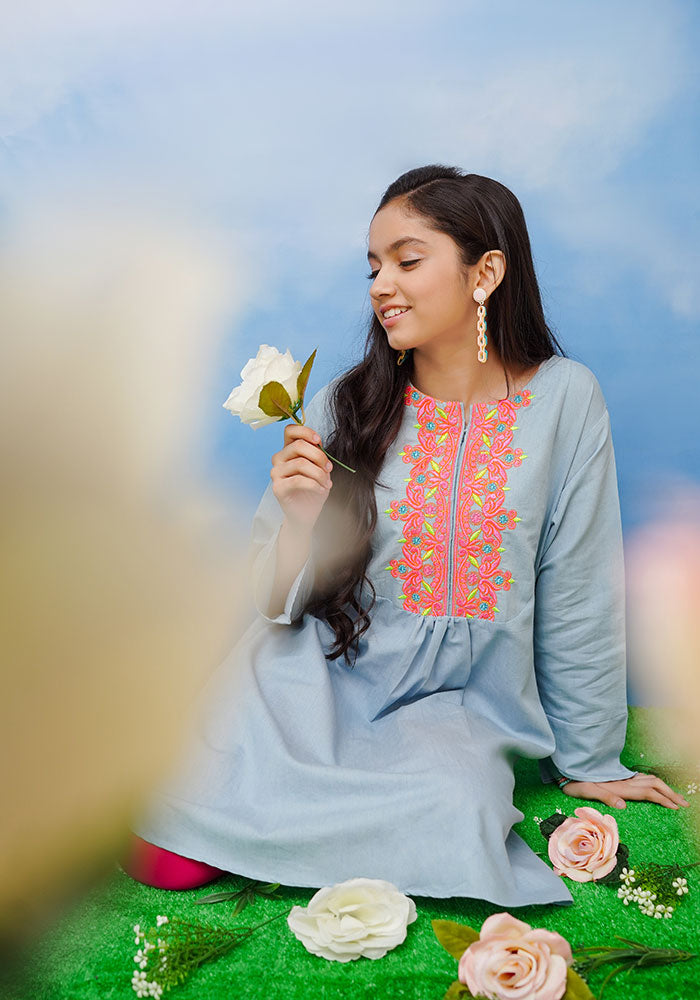 Denim Embroidered Top - Wear Ochre