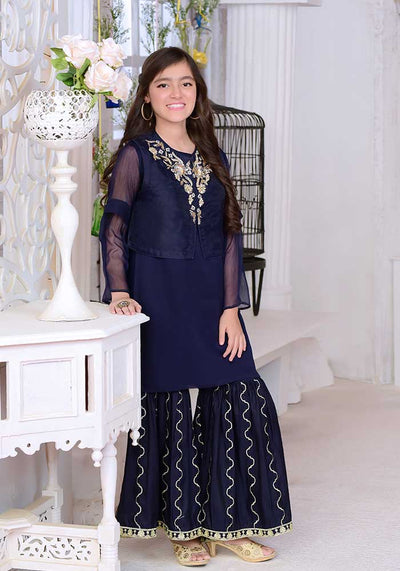 Organza Hand Adda Work 2 Pc Suit