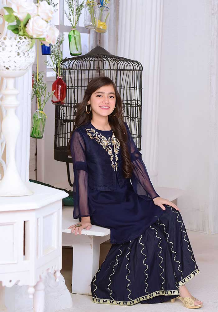 Organza Hand Adda Work 2 Pc Suit - Wear Ochre