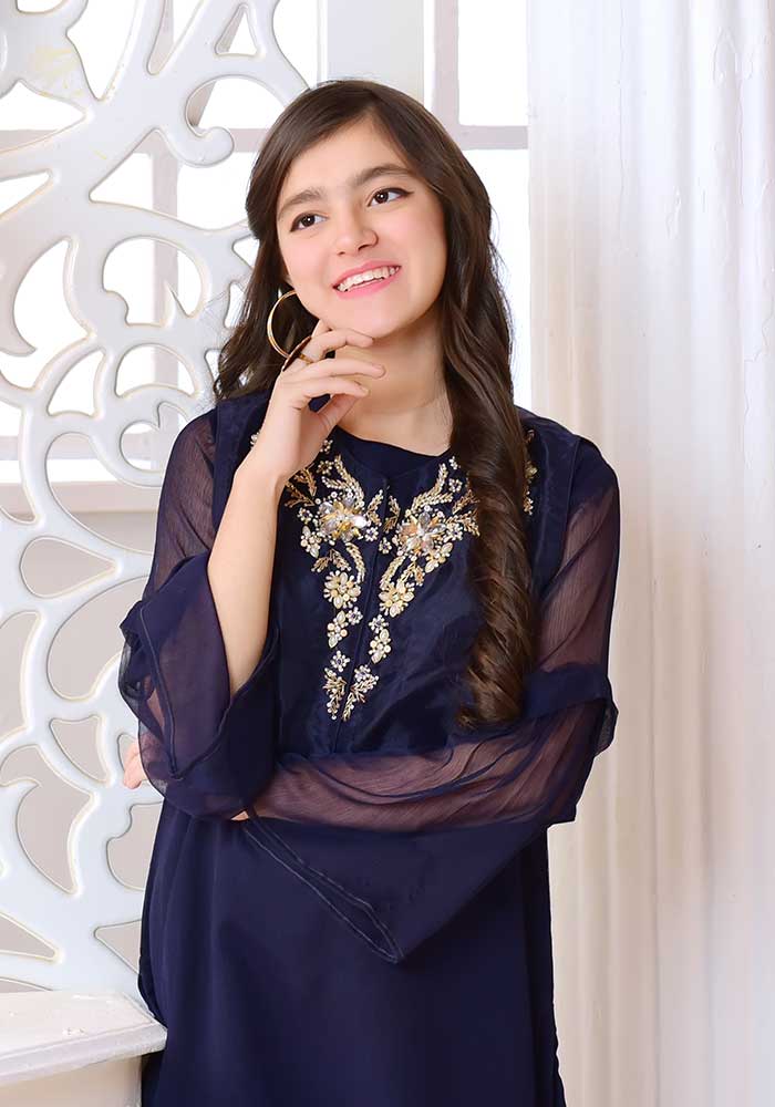 Organza Hand Adda Work 2 Pc Suit - Wear Ochre