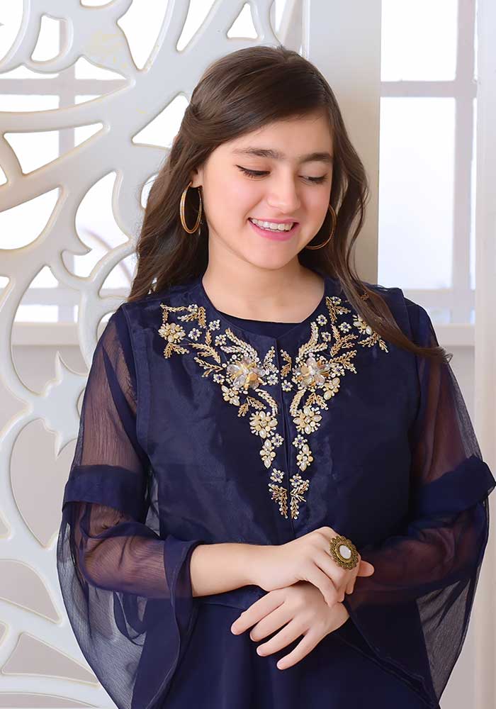 Organza Hand Adda Work 2 Pc Suit - Wear Ochre