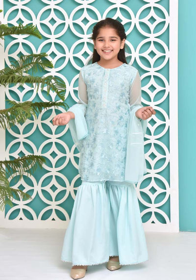 Chiffon Embroidered 3 Pc Suit