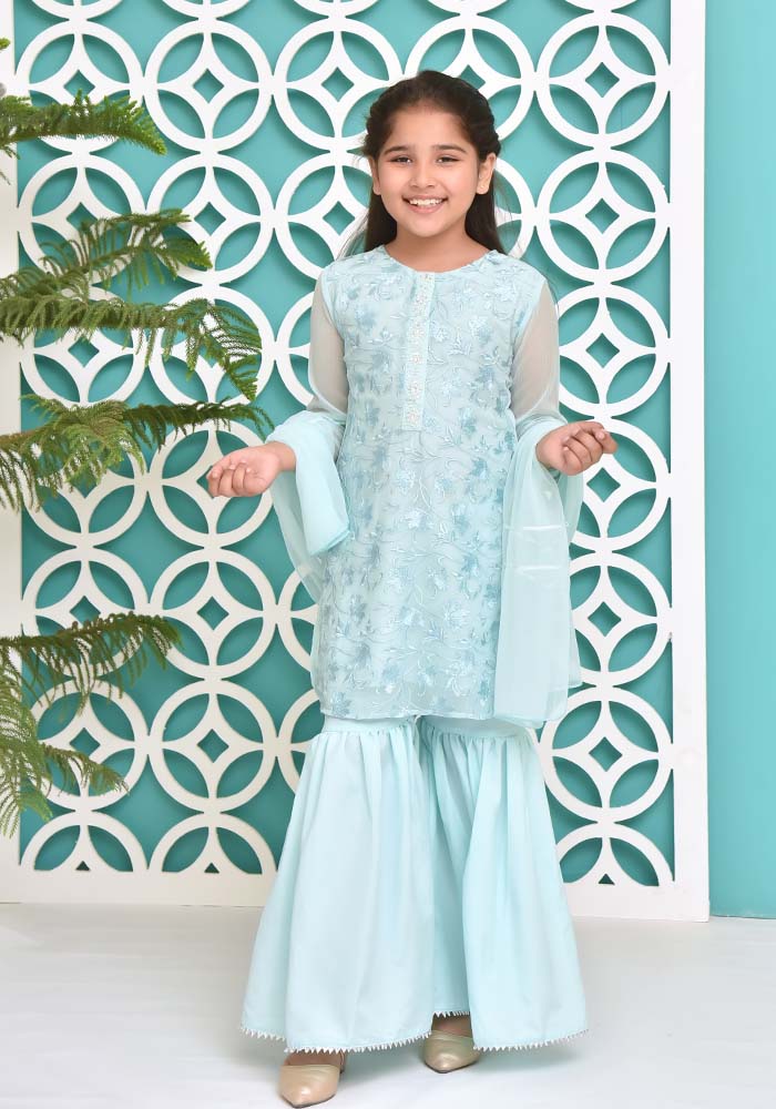 Chiffon Embroidered 3 Pc Suit - Wear Ochre