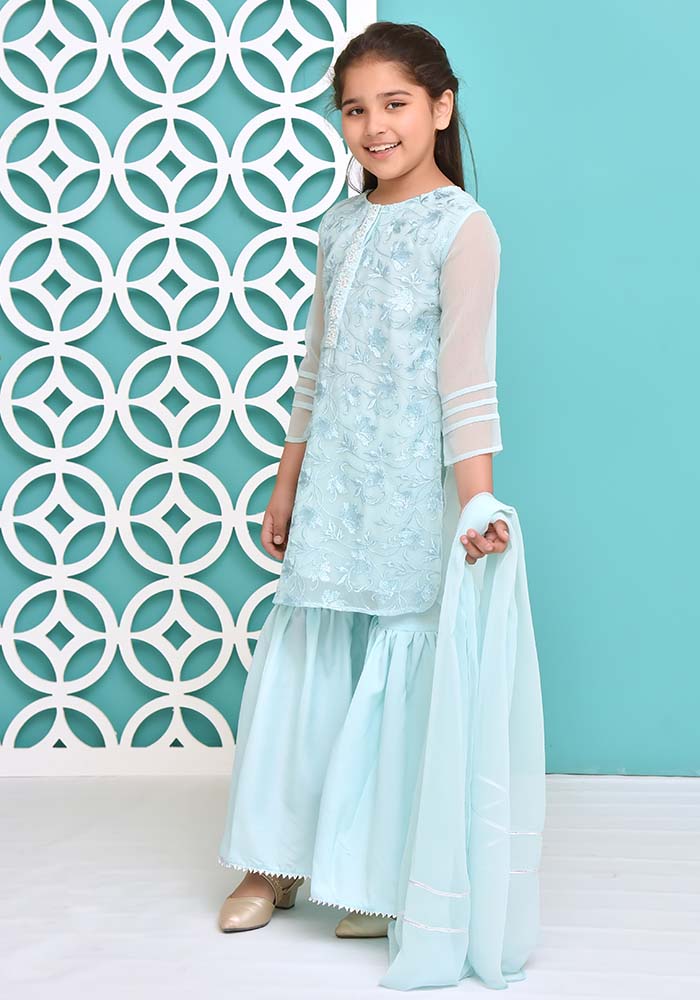 Chiffon Embroidered 3 Pc Suit - Wear Ochre