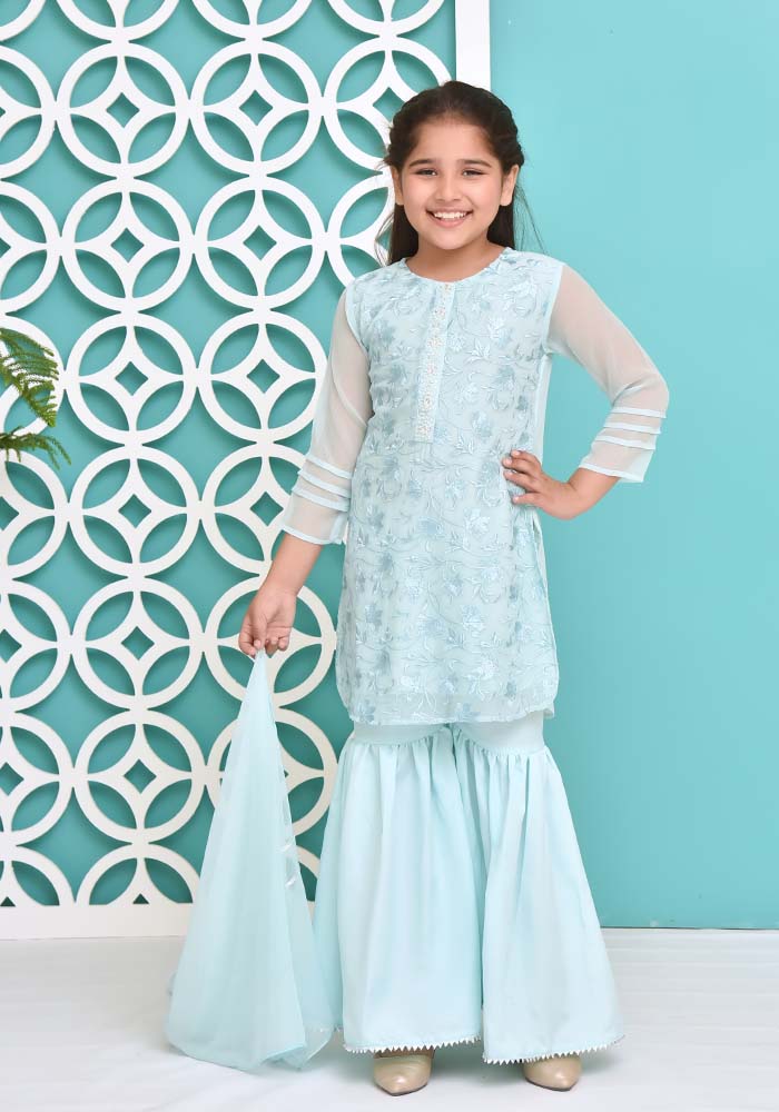Chiffon Embroidered 3 Pc Suit - Wear Ochre