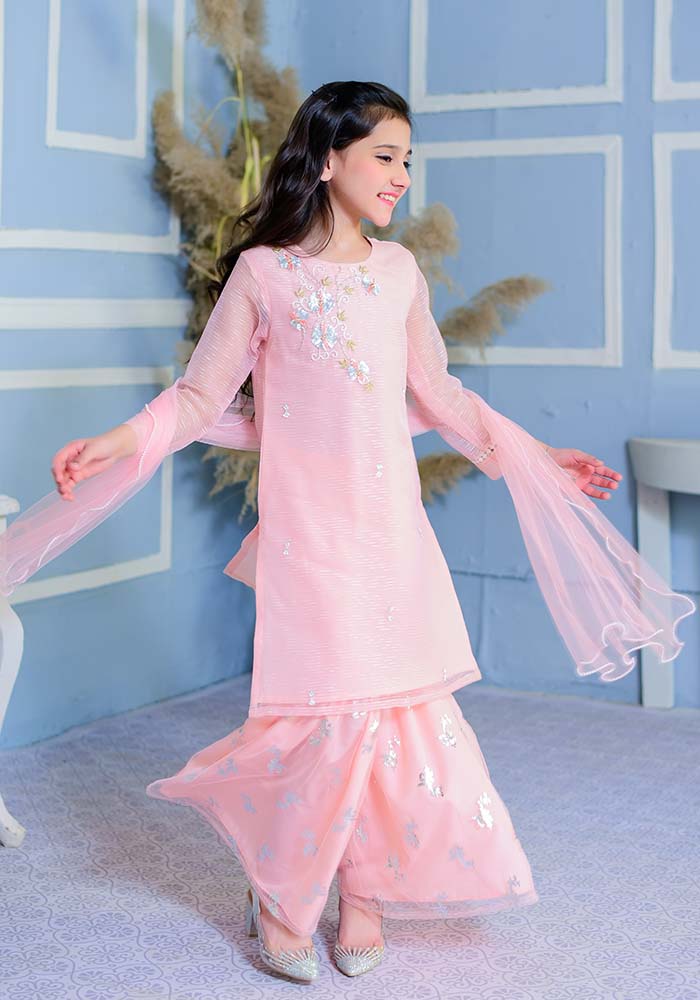 Organza Hand Work 3 Pc Suit - Wear Ochre