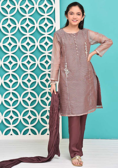Jacquard Hand Work 3 Pc Suit
