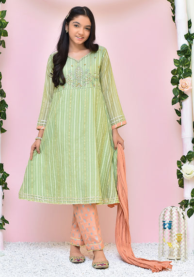 Organza Hand Adda Work 3 Pc Suit