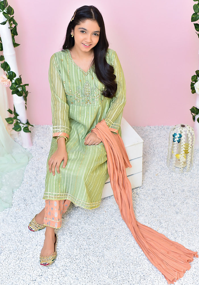 Organza Hand Adda Work 3 Pc Suit - Wear Ochre