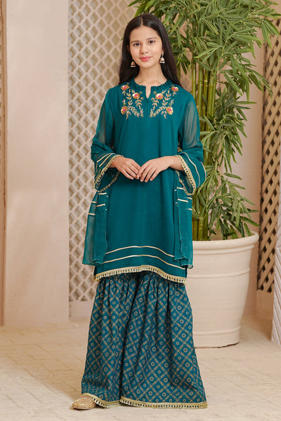 Chiffon Hand Adda Work 3 Pc Suit
