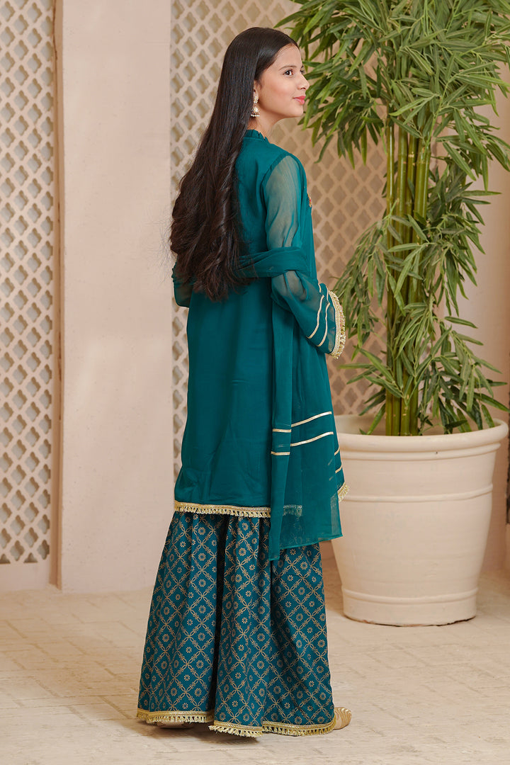 Chiffon Hand Adda Work 3 Pc Suit - Wear Ochre