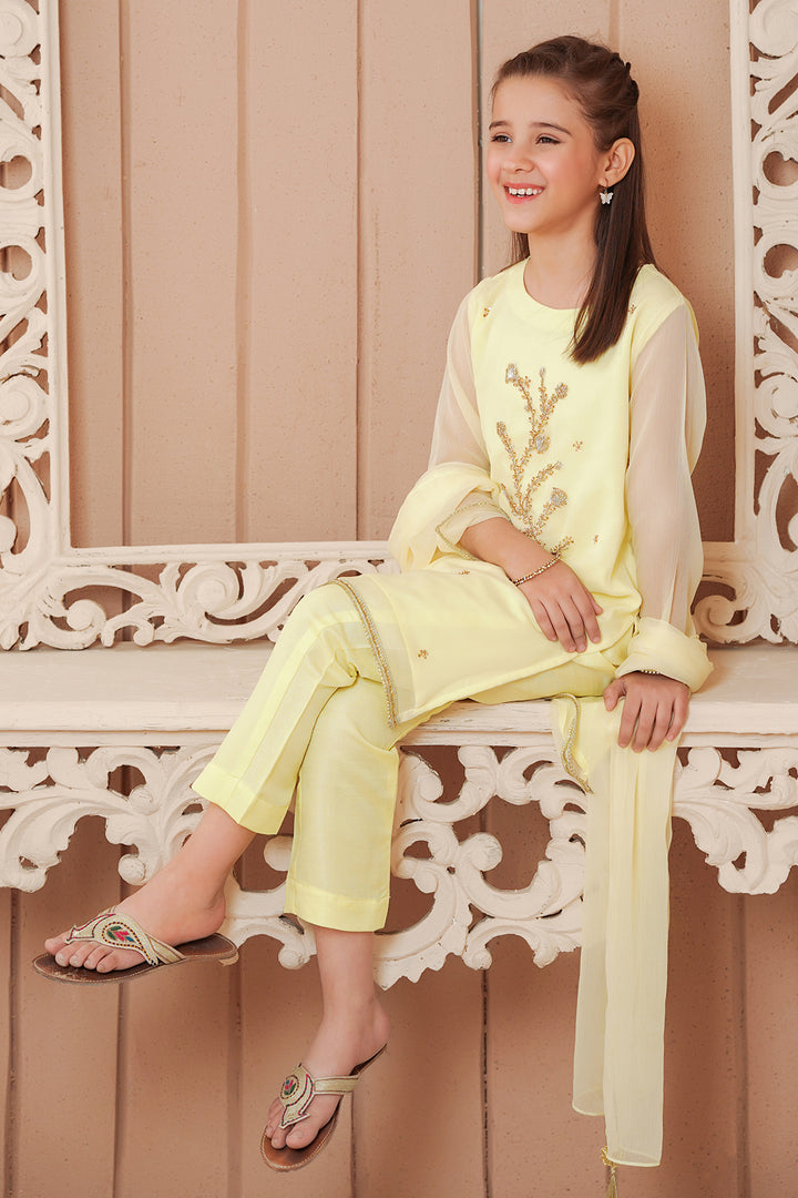 Chiffon Hand Adda Work 3 Pc Suit - Wear Ochre