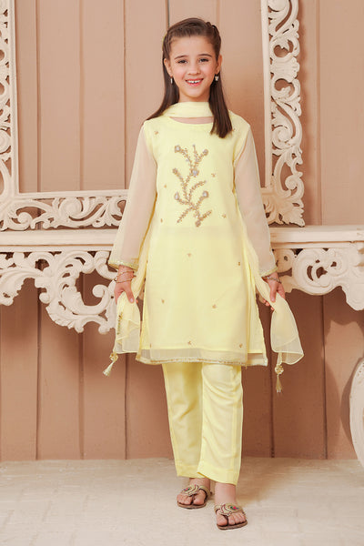 Chiffon Hand Adda Work 3 Pc Suit