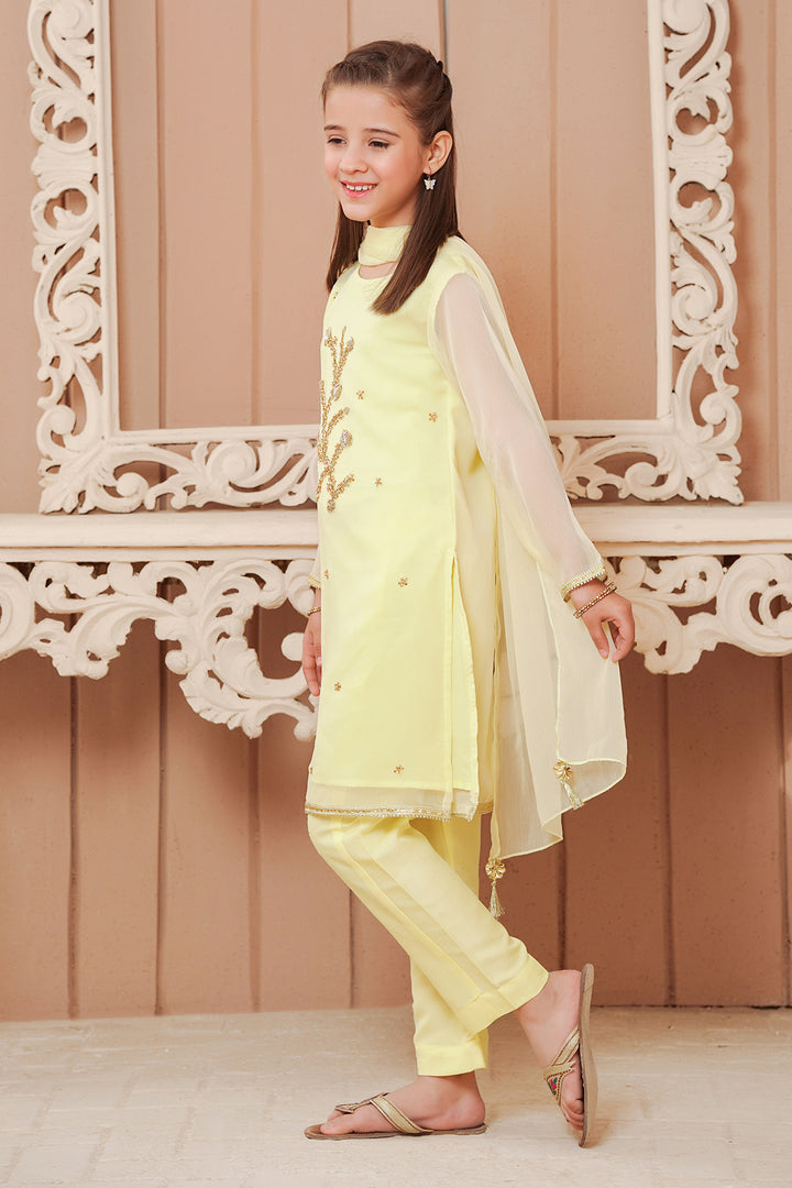 Chiffon Hand Adda Work 3 Pc Suit - Wear Ochre