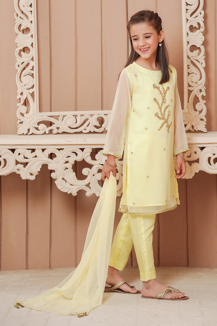 Chiffon Hand Adda Work 3 Pc Suit - Wear Ochre