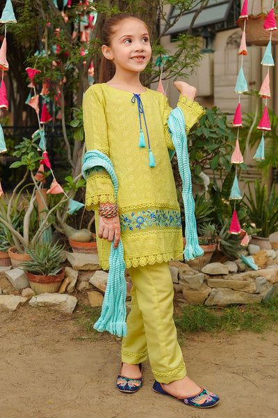Chikankari Embroidered 3 Pc Suits
