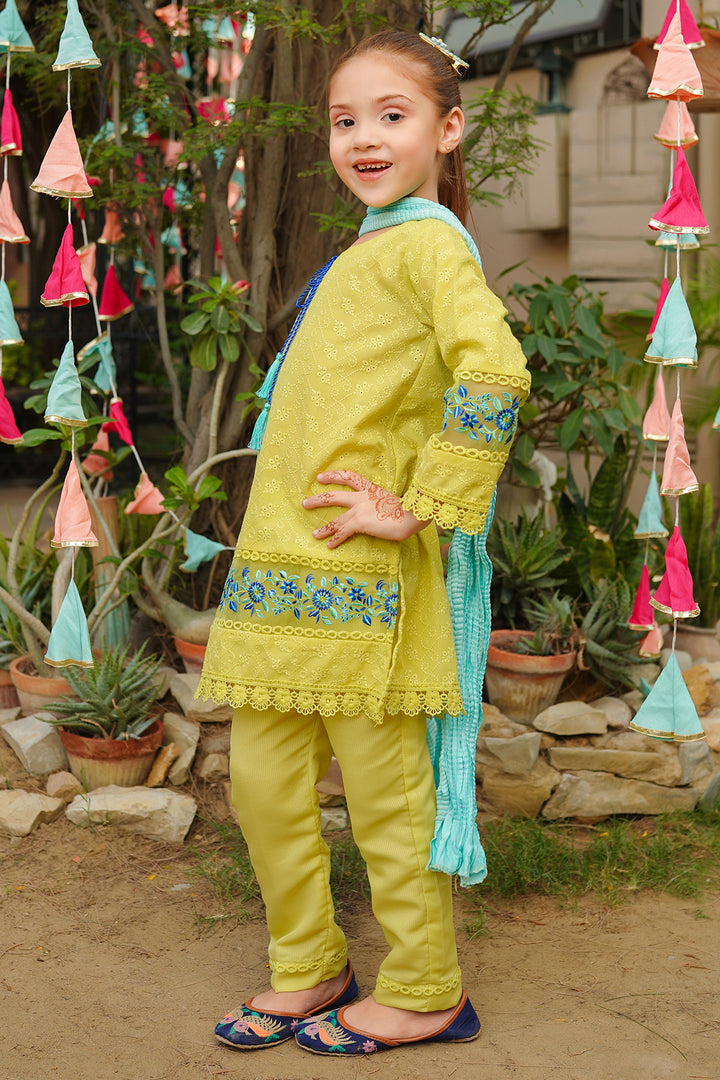 Chikankari Embroidered 3 Pc Suits - Wear Ochre