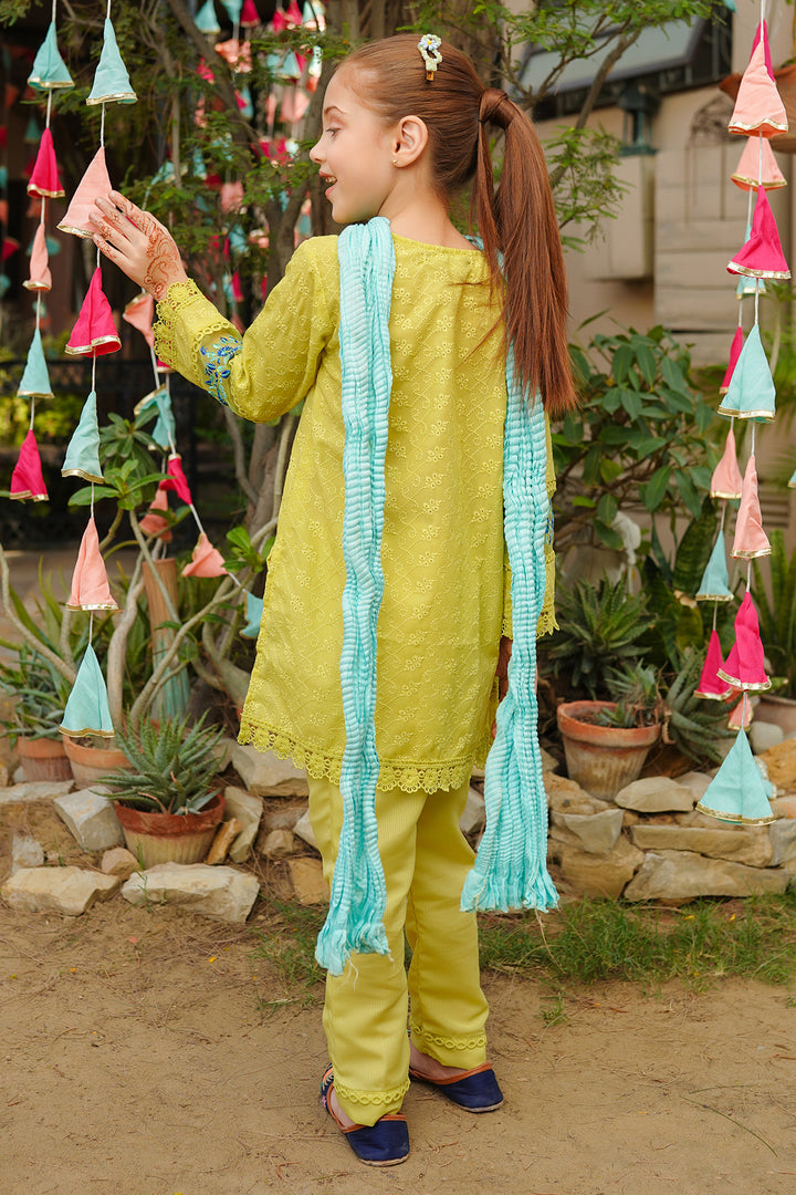 Chikankari Embroidered 3 Pc Suits - Wear Ochre
