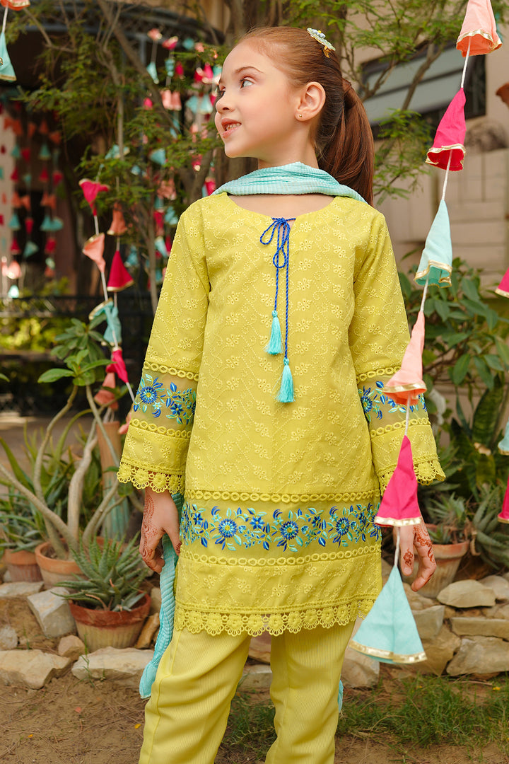Chikankari Embroidered 3 Pc Suits - Wear Ochre