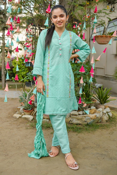 Chikankari Embroidered 3 Pc Suits