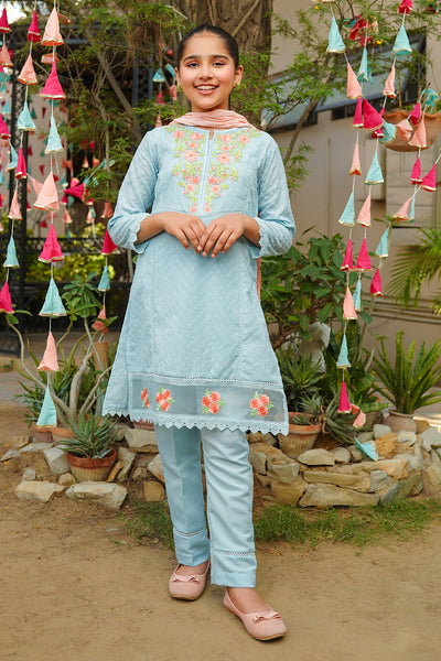 Chikankari Embroidered 3 Pc Suits