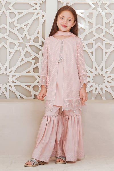 Chiffon Embroidered 3 Pc Suit