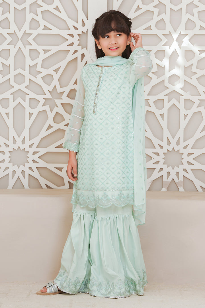 Chiffon Embroidered 3 Pc Suit - Wear Ochre