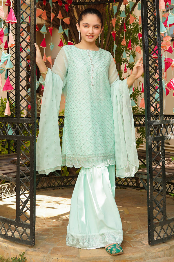 Chiffon Embroidered 3 Pc Suit