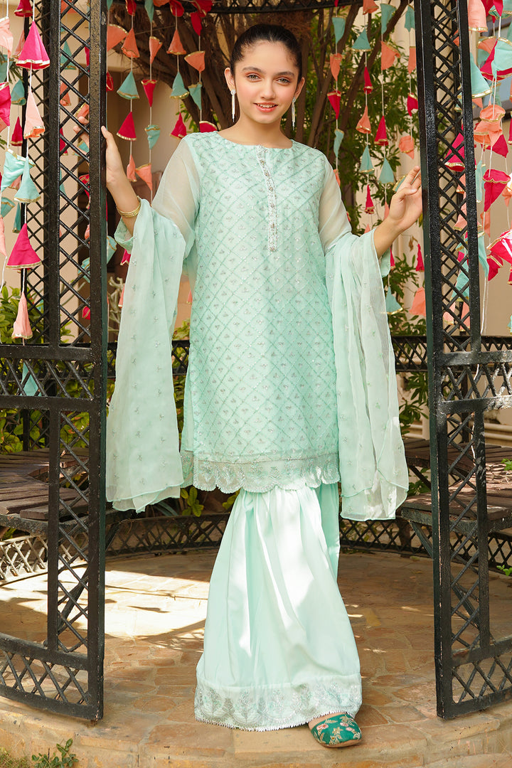 Chiffon Embroidered 3 Pc Suit - Wear Ochre