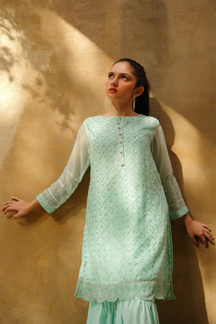 Chiffon Embroidered 3 Pc Suit - Wear Ochre