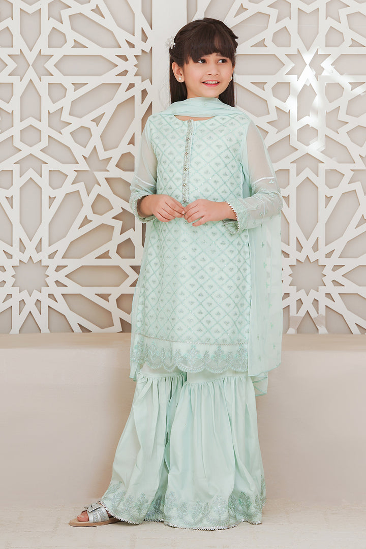 Chiffon Embroidered 3 Pc Suit - Wear Ochre