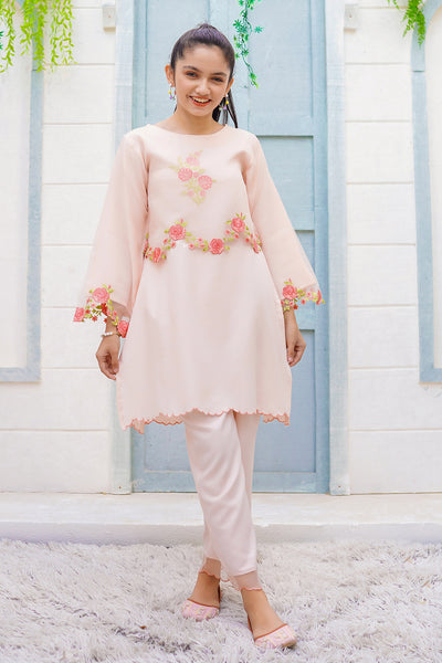 Cotton Viscose Embroidered 2 Pc Suit