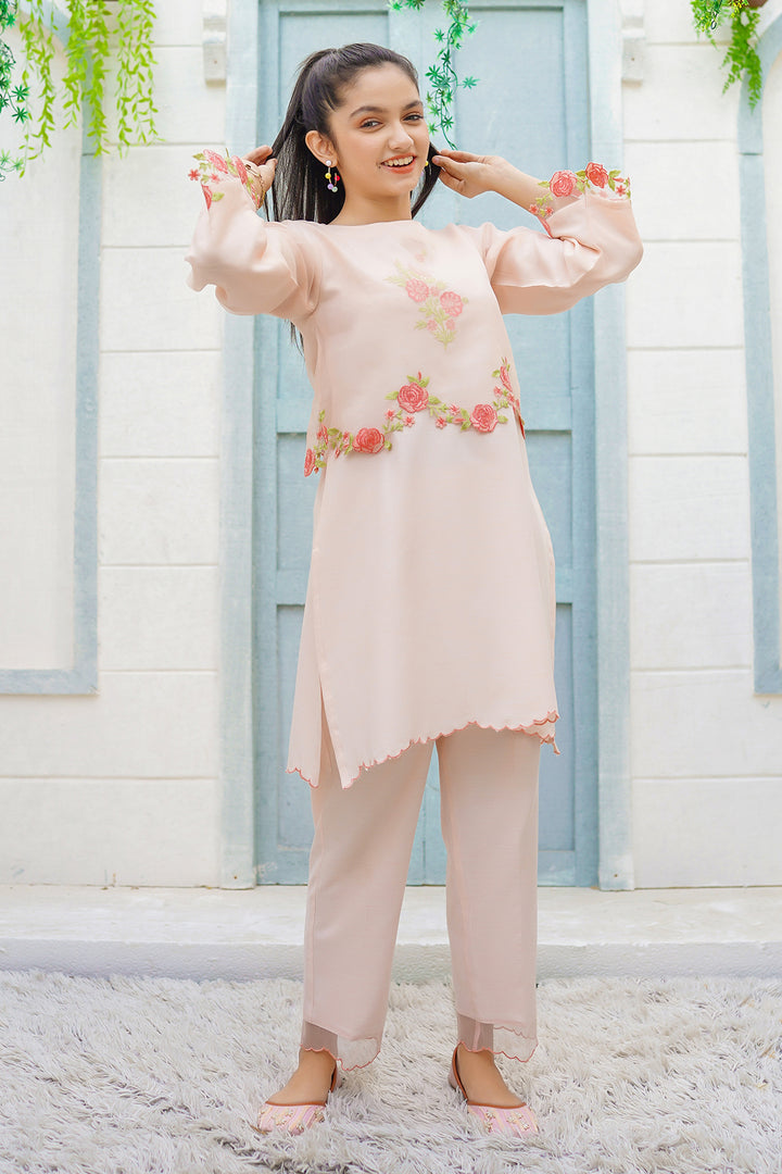 Cotton Viscose Embroidered 2 Pc Suit - Wear Ochre