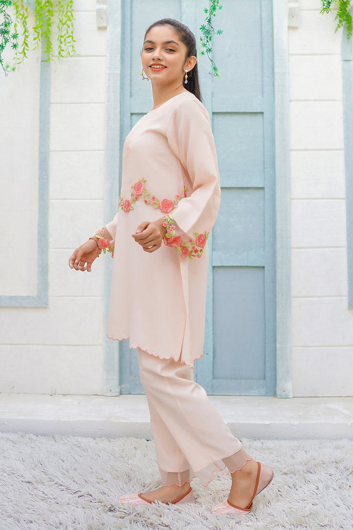 Cotton Viscose Embroidered 2 Pc Suit - Wear Ochre