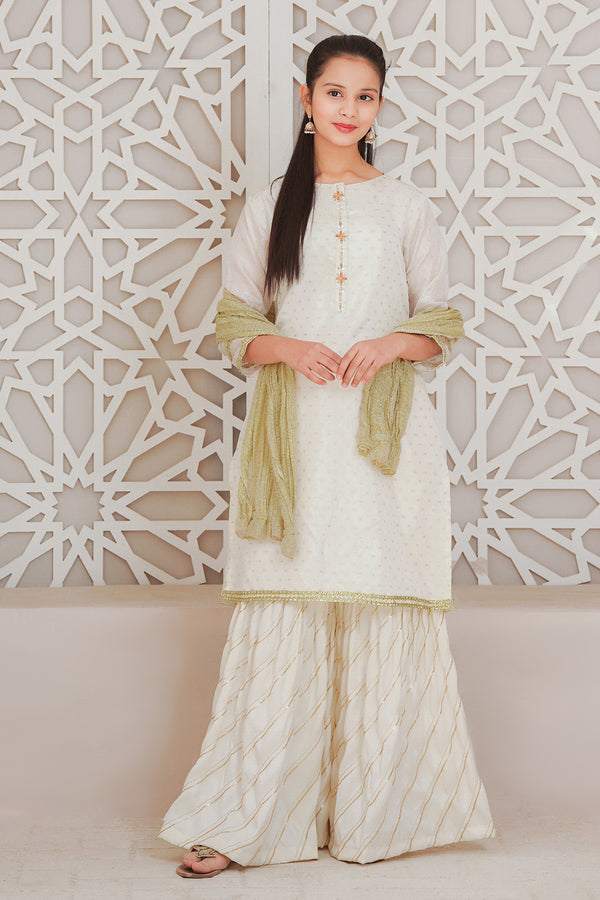 Organza Jacquard Hand Adda Work 3 Pc Suit