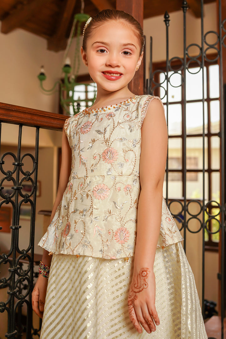 Cotton Silk Embroidered 2 Pc Suit - Wear Ochre