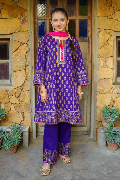 Cotton Printed 3 Pc Suit
