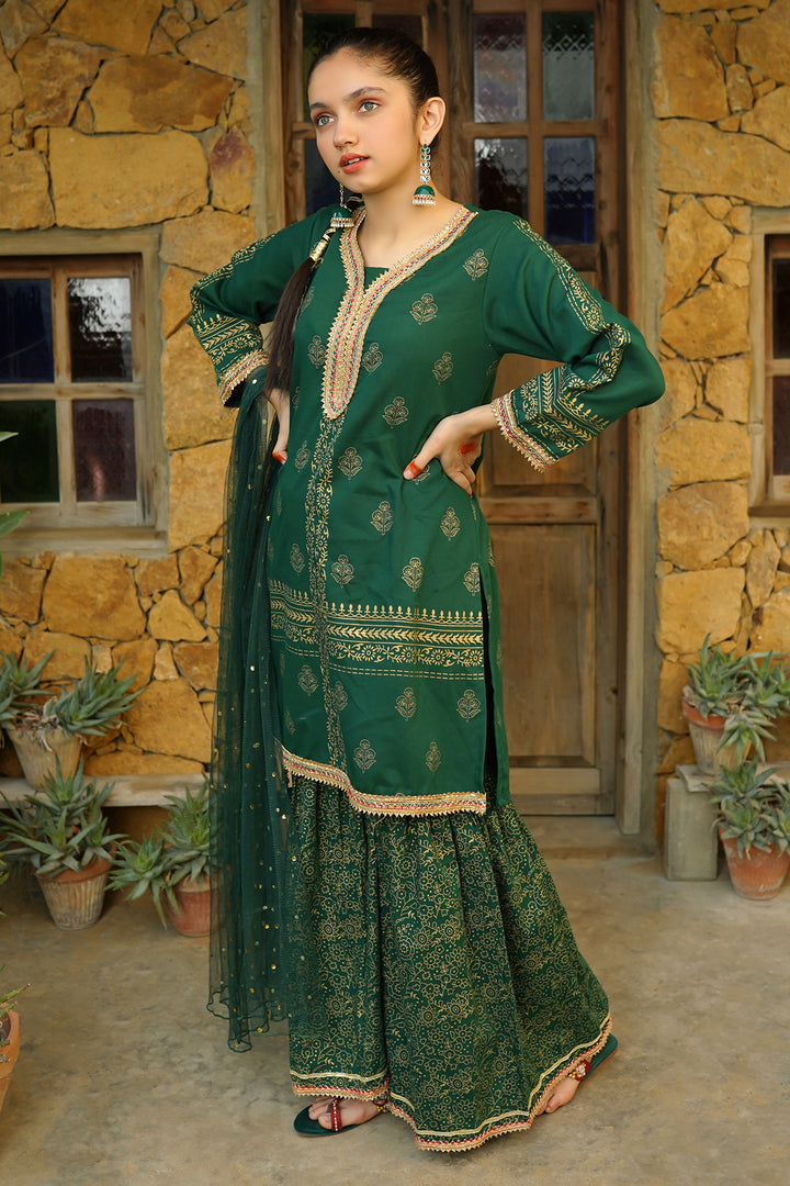 Cotton Printed 3 Pc Suit - Wear Ochre